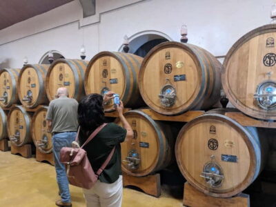 From Lake Garda: Valpolicella Wine & Lunch Guided Trip