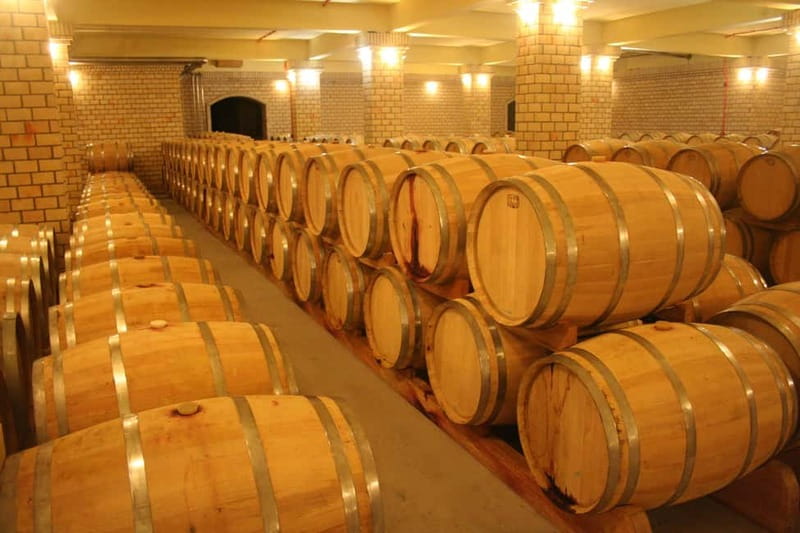 From Lake Garda: Valpolicella Wine & Lunch Guided Trip - Is $105 a fair price?