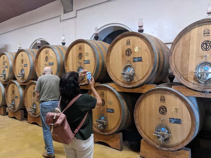From Lake Garda: Valpolicella Wine & Lunch Guided Trip - Reaching the winery around 11:00