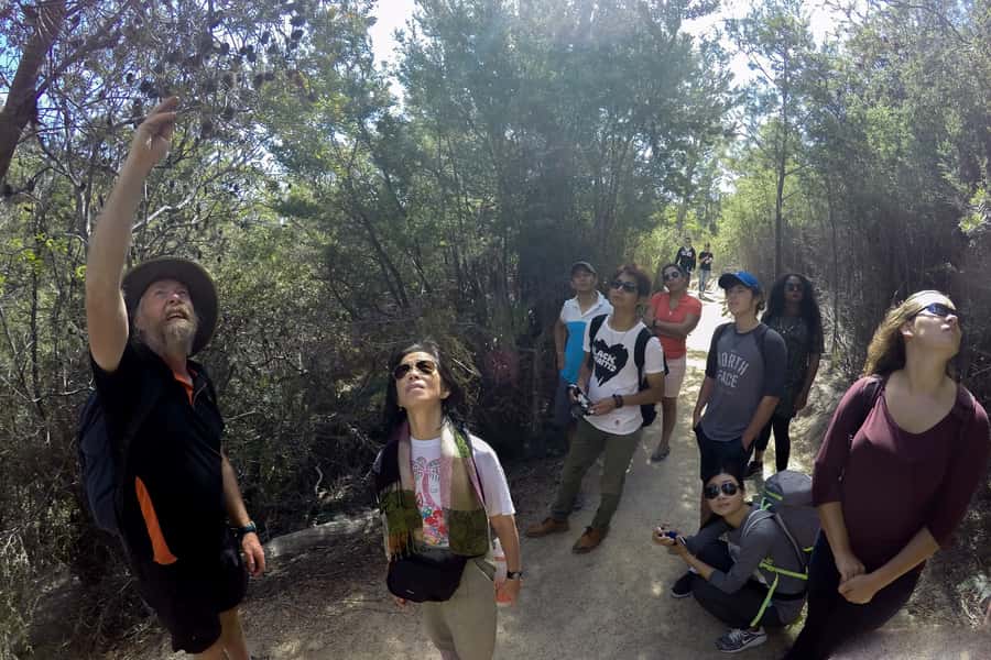 From Launceston: Full-Day Wineglass Bay Explorer Active Tour - The climb to Wineglass Bay Lookout