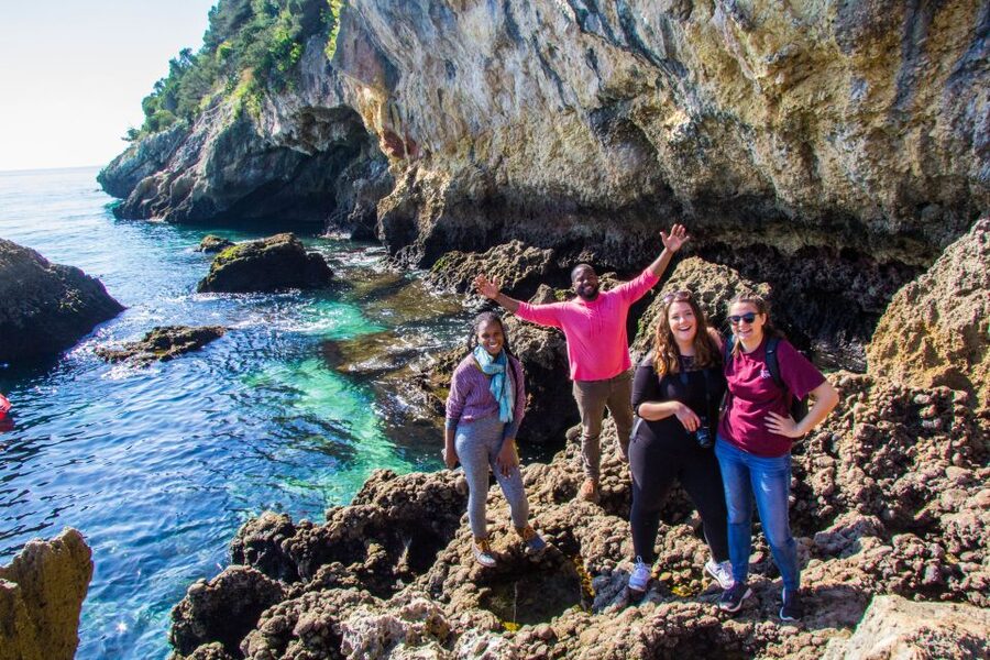 From Lisbon: Arrábida Day Tour & Wine Tasting - Farm Catralvos and three Portuguese wines