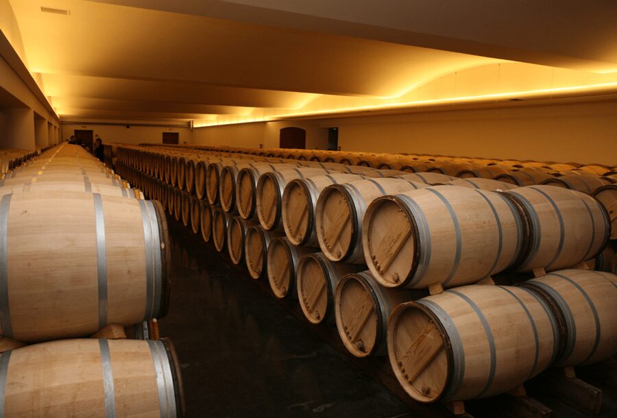 From Lisbon: Évora + Chapel of Bones + Monsaraz + Alentejo Wines - The road to Monsaraz and Lake Alqueva views