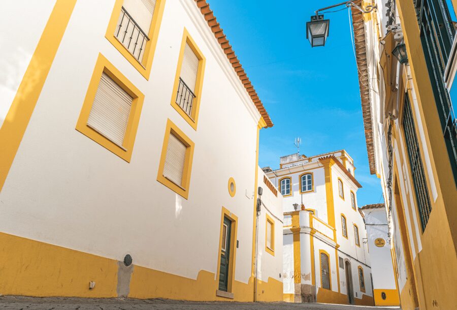 From Lisbon: Évora + Chapel of Bones + Monsaraz + Alentejo Wines - Who will enjoy this day most