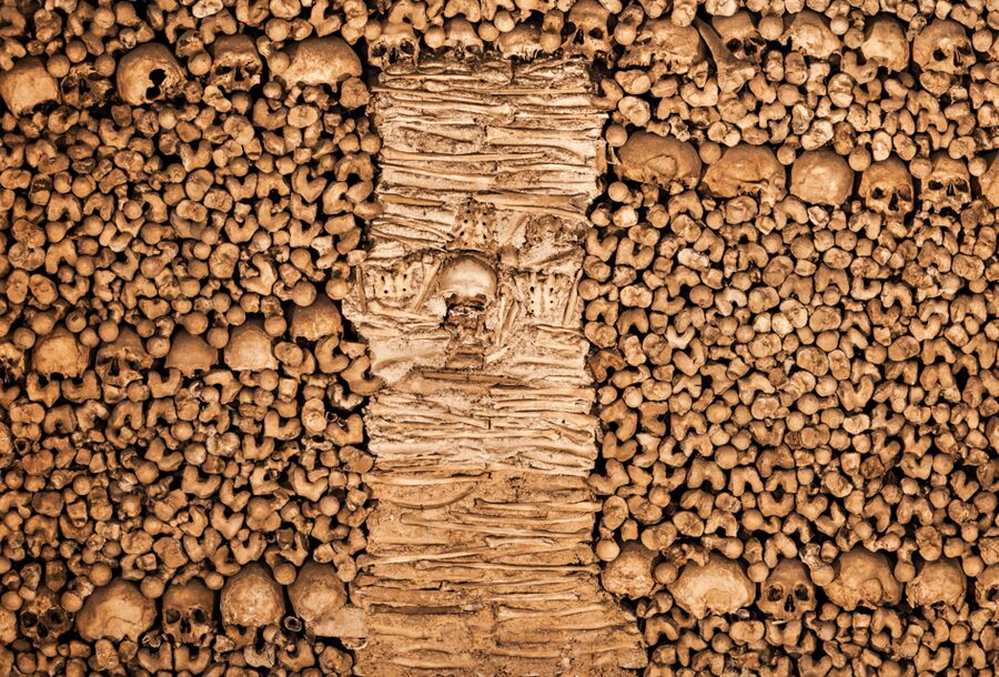 From Lisbon: Évora + Chapel of Bones + Monsaraz + Alentejo Wines - Évora’s Chapel of Bones and its unsettling lesson