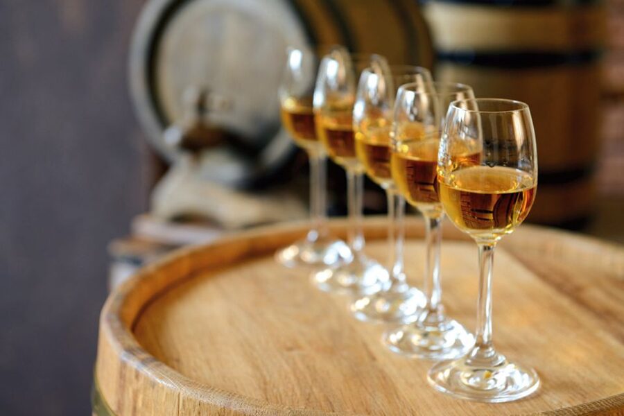 From Lisbon: Évora Wine & Heritage Tour - Key points before you book