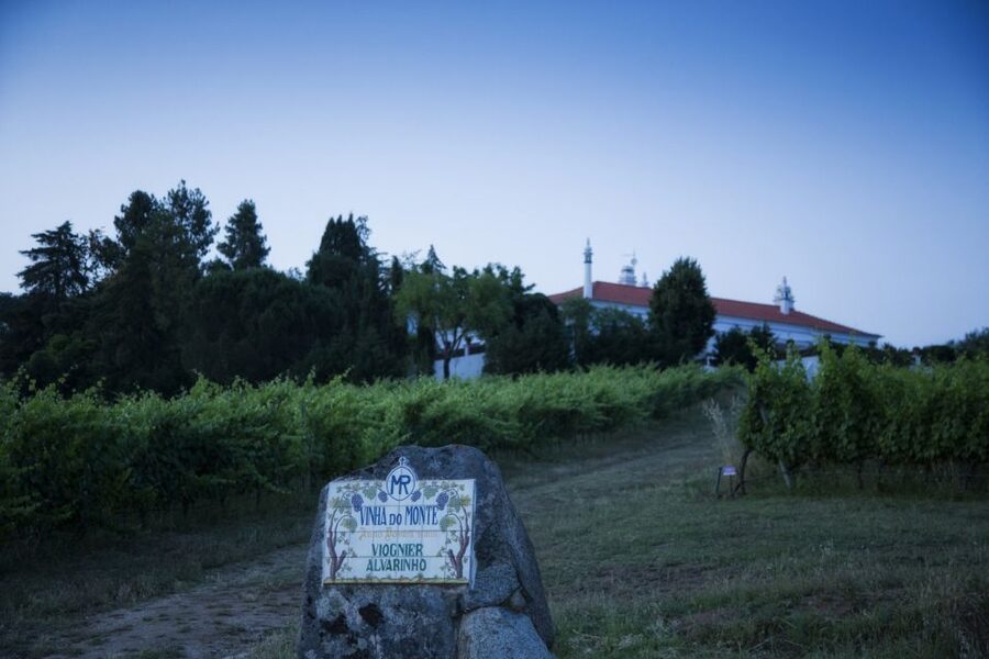 From Lisbon: Évora Wine & Heritage Tour - Wine tasting in a traditional cellar