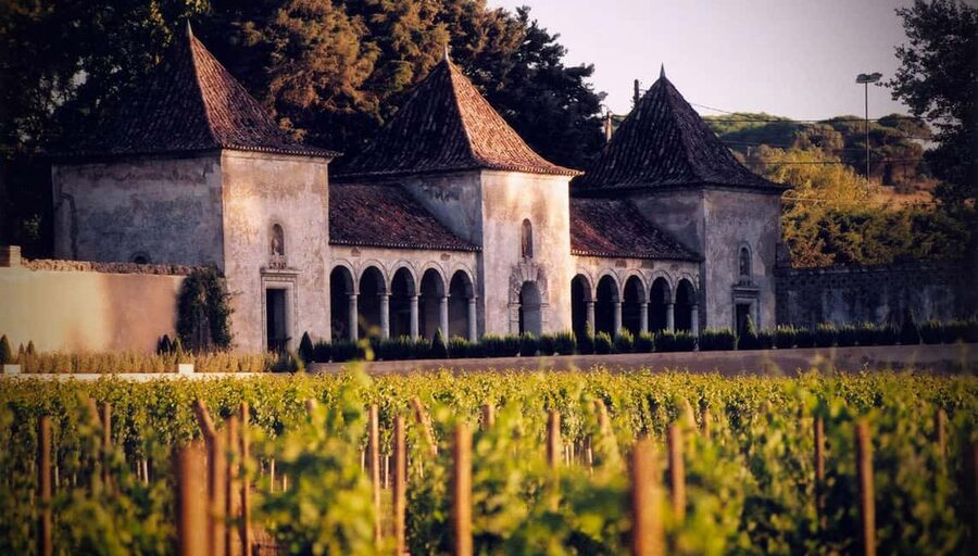 From Lisbon: Serra da Arrábida, Sesimbra, and Setúbal Wines - Why this day trip works from Lisbon