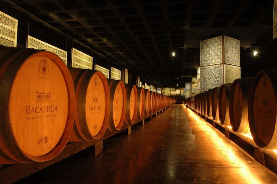 From Lisbon: Serra da Arrábida, Sesimbra, and Setúbal Wines - Bacalhôa Palace brings art into the wine story
