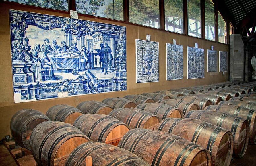 From Lisbon: Serra da Arrábida, Sesimbra, and Setúbal Wines - Who should book this experience?