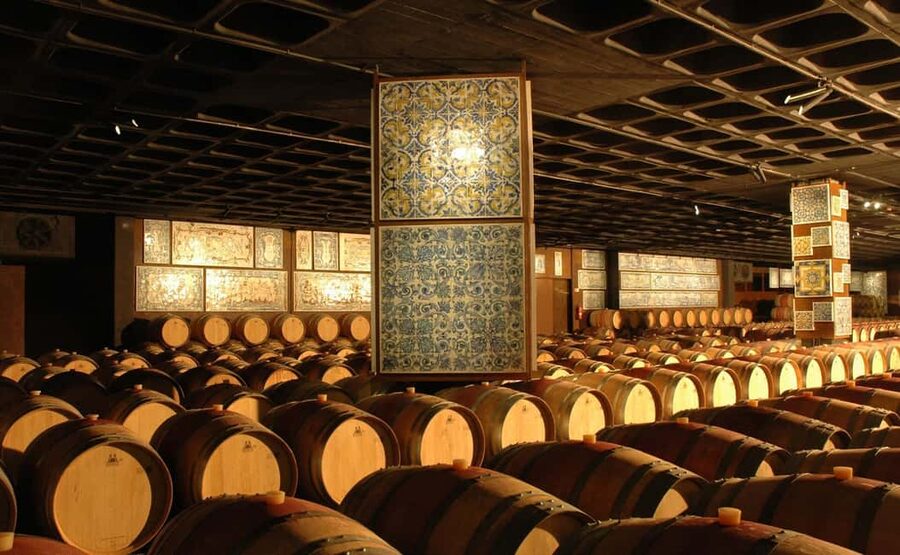 From Lisbon: Serra da Arrábida, Sesimbra, and Setúbal Wines - Bacalhôa Winery makes the tasting practical