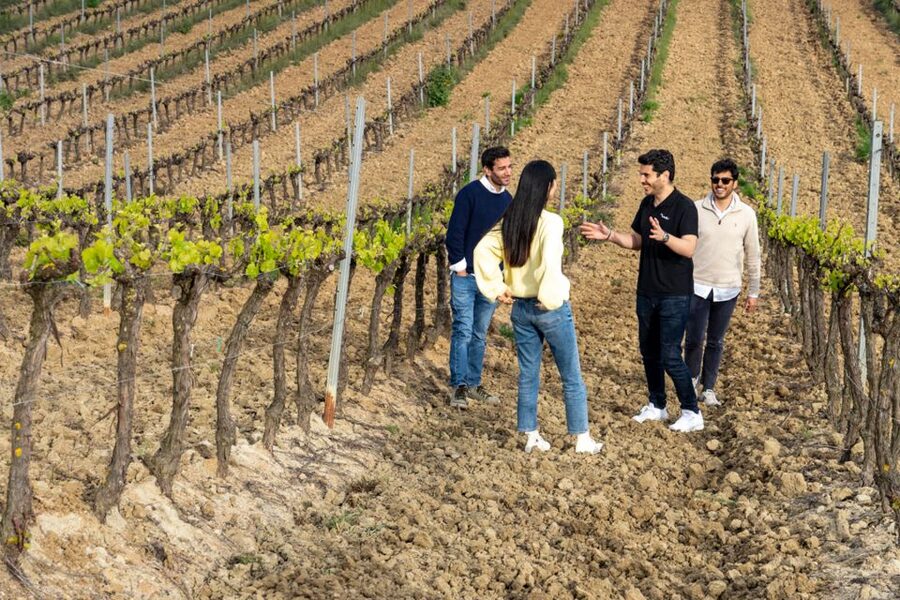 From Lisbon: Sintra & Pena Palace Day Trip with Wine Tasting - Why this pairing works so well
