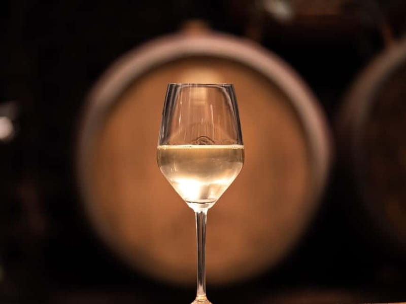 From Ljubljana: Vipava Valley Wine Express Tour - The first winery: family stories and old cellars
