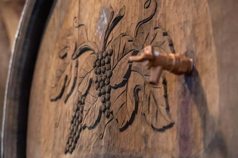 From Ljubljana: Vipava Valley Wine Express Tour - The second winery: a different side of Slovenian wine