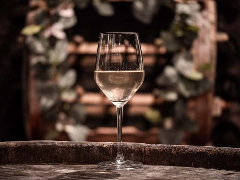 From Ljubljana: Vipava Valley Wine Express Tour - Booking, cancellation, and practical preparation