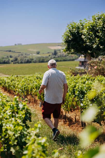 From Lyon: Beaujolais Wine Route Half-Day Tour - Meeting the family winemaker