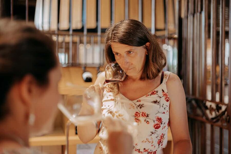 From Lyon: Beaujolais Wine Route Half-Day Tour - Should you book the Beaujolais half-day tour?