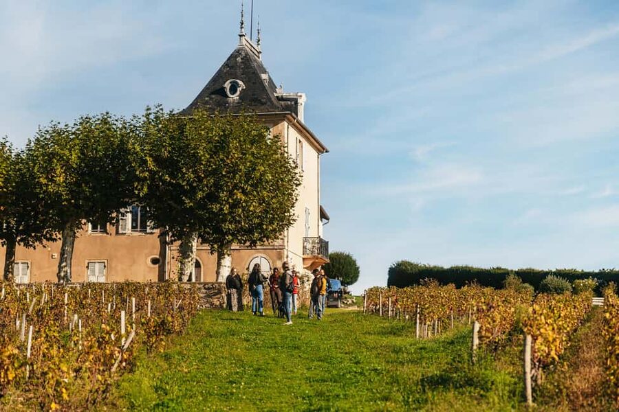 From Lyon: Beaujolais Wine Tour with Tastings - Why Gamay matters here