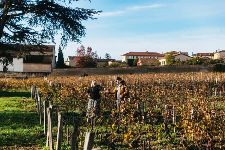 From Lyon: Beaujolais Wine Tour with Tastings - Second winery: compare a different style