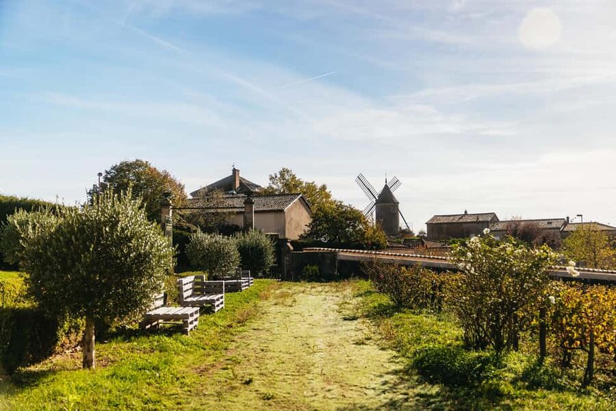 From Lyon: Beaujolais Wine Tour with Tastings - The guides make the short format work