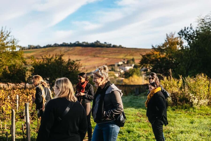 From Lyon: Beaujolais Wine Tour with Tastings - Is $116 a fair price?