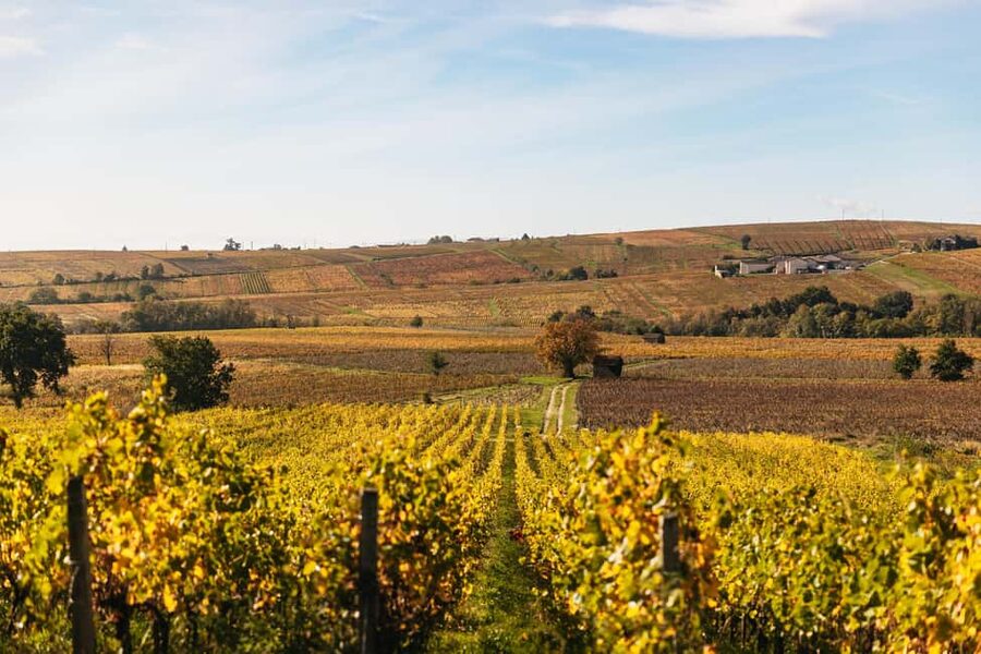 From Lyon: Beaujolais Wine Tour with Tastings - Following the Beaujolais Wine Route