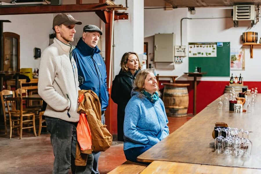 From Lyon: Golden Stones Beaujolais Wine Tasting Tour - Meeting a family winemaker at the final estate