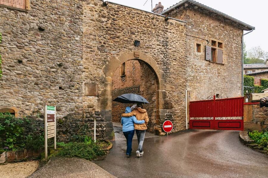 From Lyon: Golden Stones Beaujolais Wine Tasting Tour - Is $116 a fair price?
