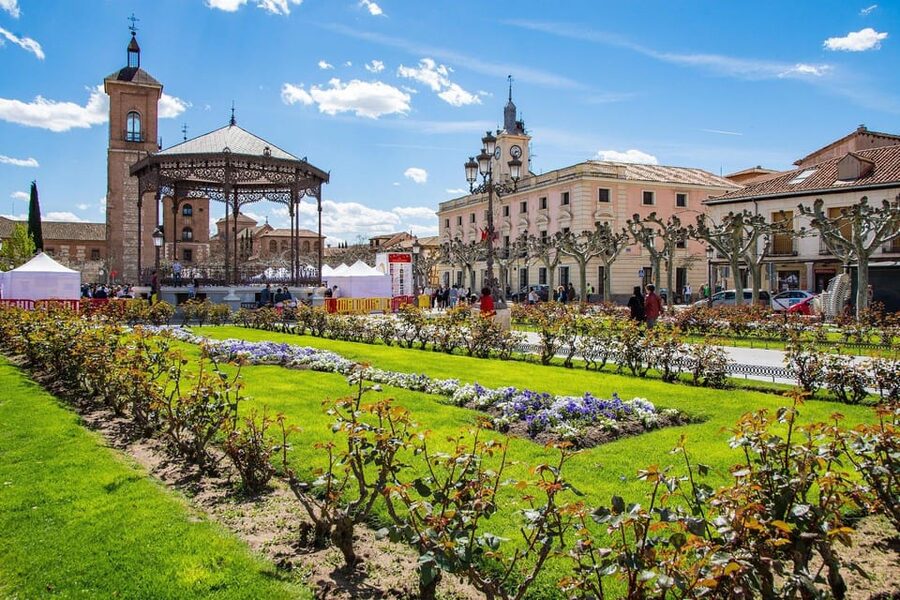 From Madrid: Alcalá de Henares, Winery Tour & Wine Tasting - Key Points at a Glance