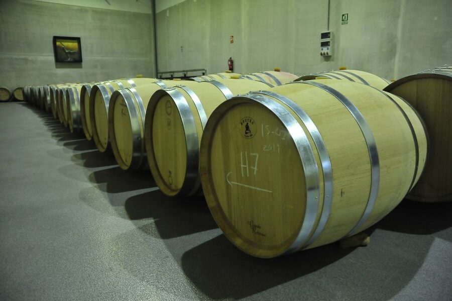 From Madrid: Ribera del Duero Tour of 3 Wineries w/ Tastings - The second winery: architecture meeting the vineyards