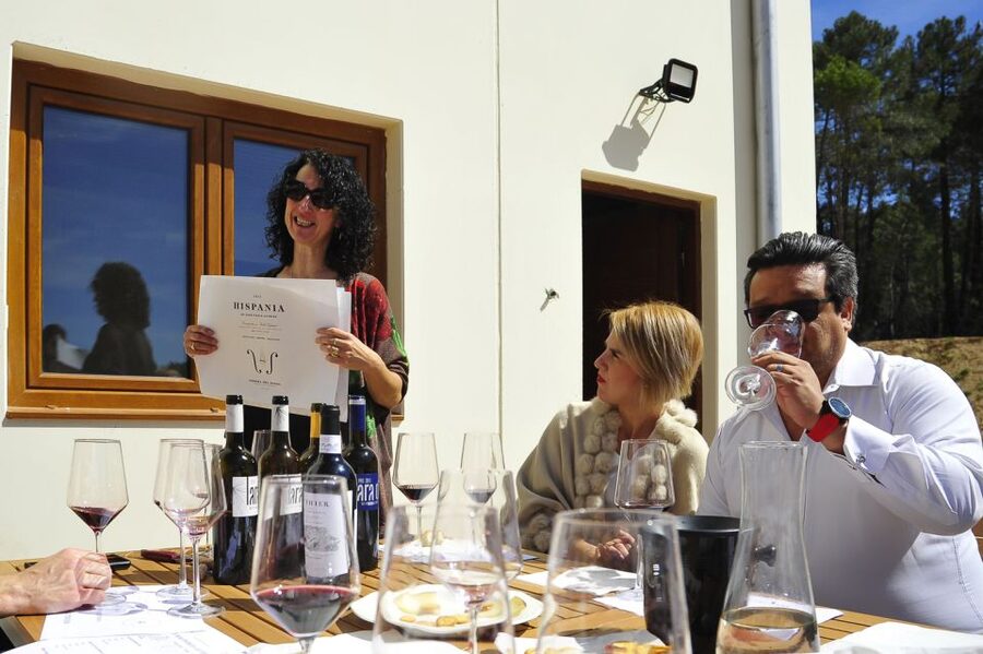 From Madrid: Ribera del Duero Tour of 3 Wineries w/ Tastings - The third winery: 400 years of tradition underground