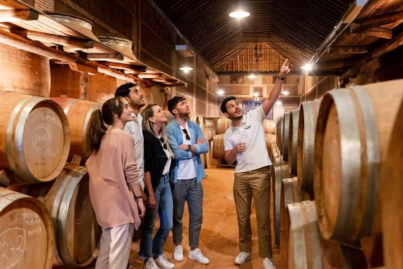 From Madrid: Toledo Guided Tour & Winery Visit with Tasting - Mirador del Valle: the view before the old city