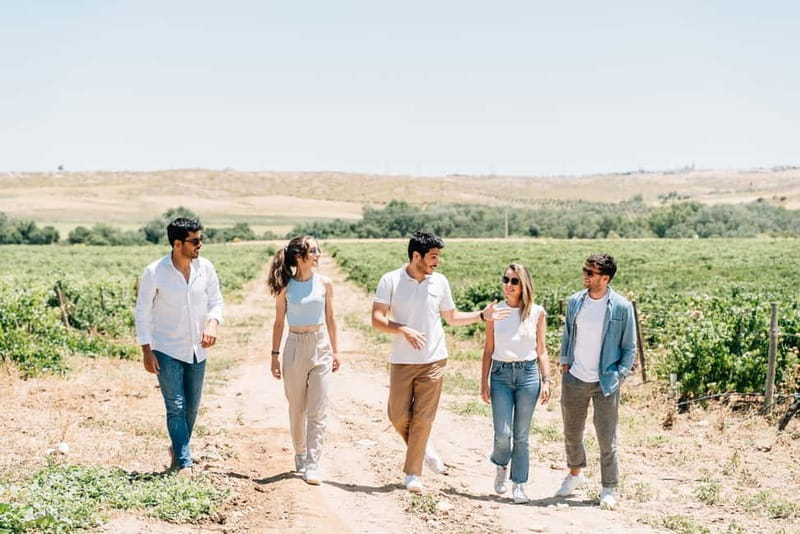 From Madrid: Toledo Guided Tour & Winery Visit with Tasting - 105 minutes to eat, shop, and choose your monument