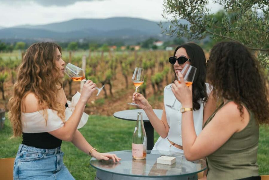 From Makarska Riviera : Wine Tasting Grabovac Tour - Key points to know before booking