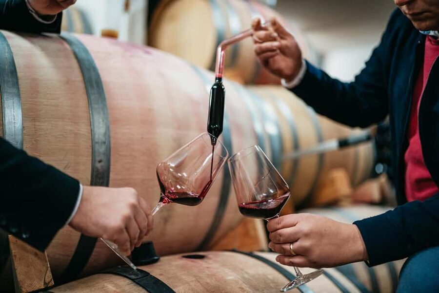 From Makarska Riviera : Wine Tasting Grabovac Tour - Should you book the Grabovac wine tour?