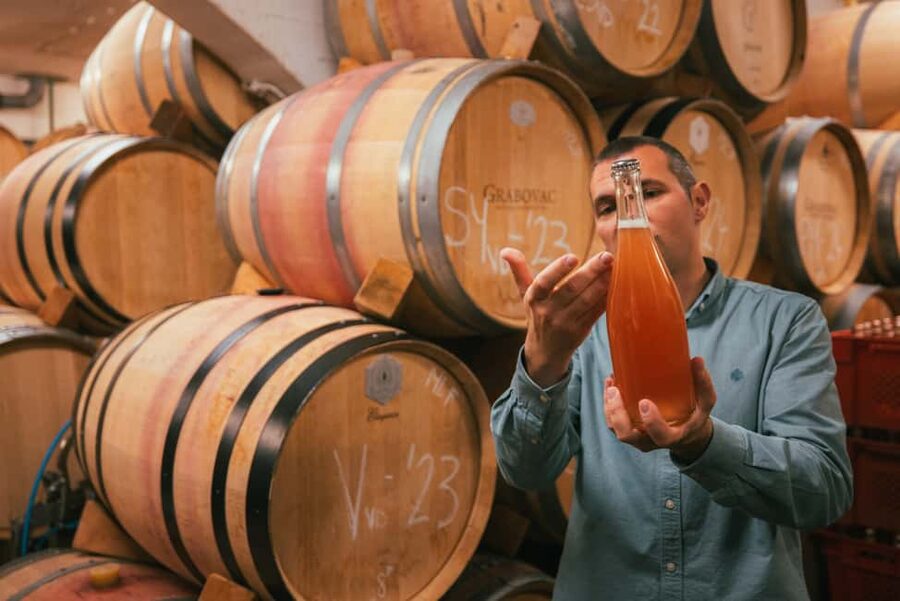 From Makarska Riviera : Wine Tasting Grabovac Tour - What happens at Grabovac Winery