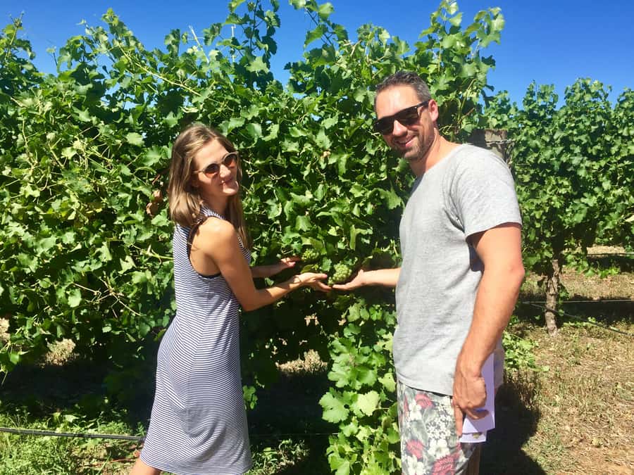 From Margaret River: Margaret River Wine Adventure - Booking, cancellation, and timing tips