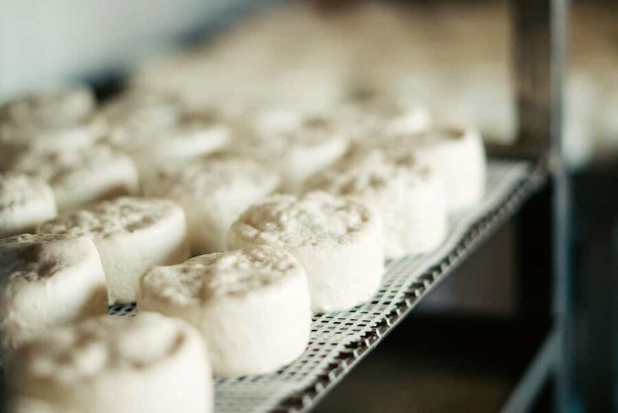 From Marseille: Aix en Provence Wine and Cheese Tour - Who will enjoy this day most?