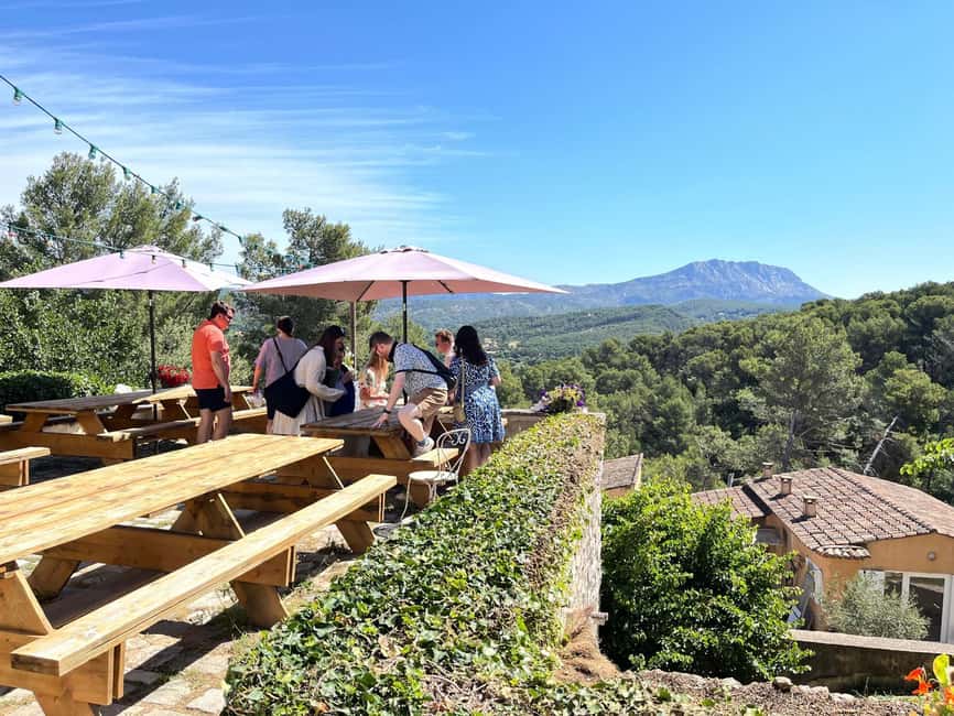 From Marseille: Aix en Provence Wine and Cheese Tour - The first vineyard: learning Provence wine without the fuss