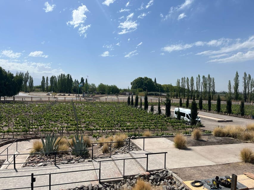 From Mendoza: 3 Wineries, Olive Oil Factory Tour & Tasting - Bilingual guiding and how the tour feels in practice