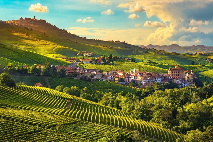 From Milan: Barolo Wine Tasting, Alba Tour and Castle Visit - Key points before you book