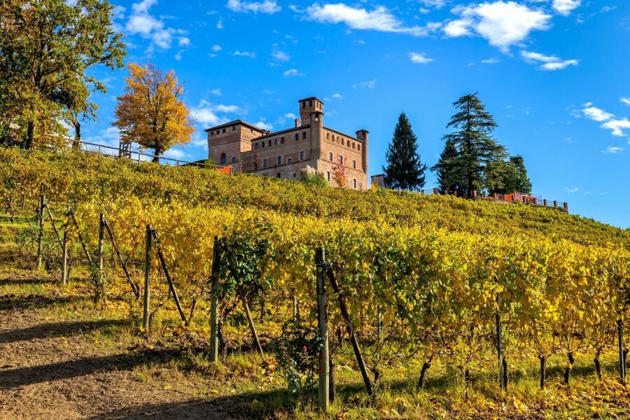 From Milan: Barolo Wine Tasting, Alba Tour and Castle Visit - Small details that will improve your day
