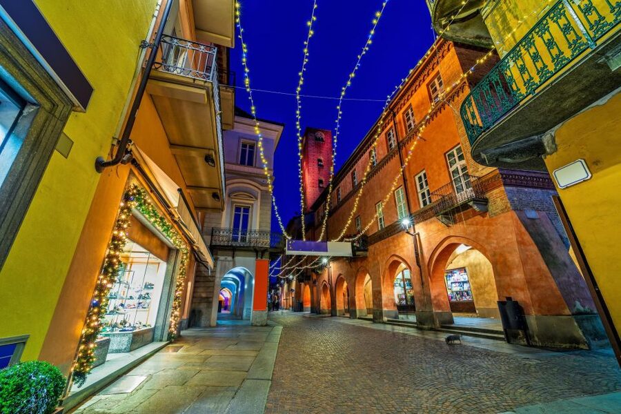 From Milan: Barolo Wine Tasting, Alba Tour and Castle Visit - A medieval castle above the vineyards