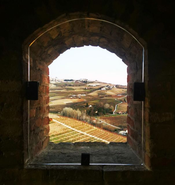 From Milan: Barolo Wine Tasting, Alba Tour and Castle Visit - Who will enjoy this tour most