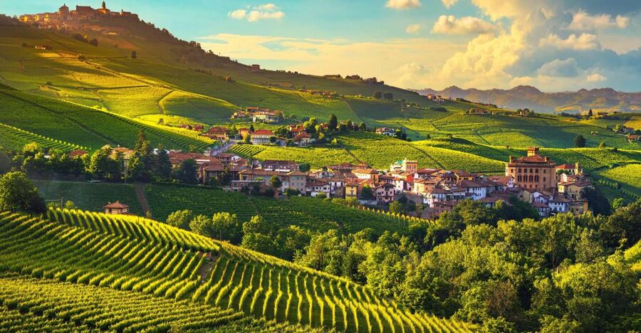 From Milan: Barolo Wine Tasting, Alba Tour and Castle Visit - Getting to the right Milan meeting point