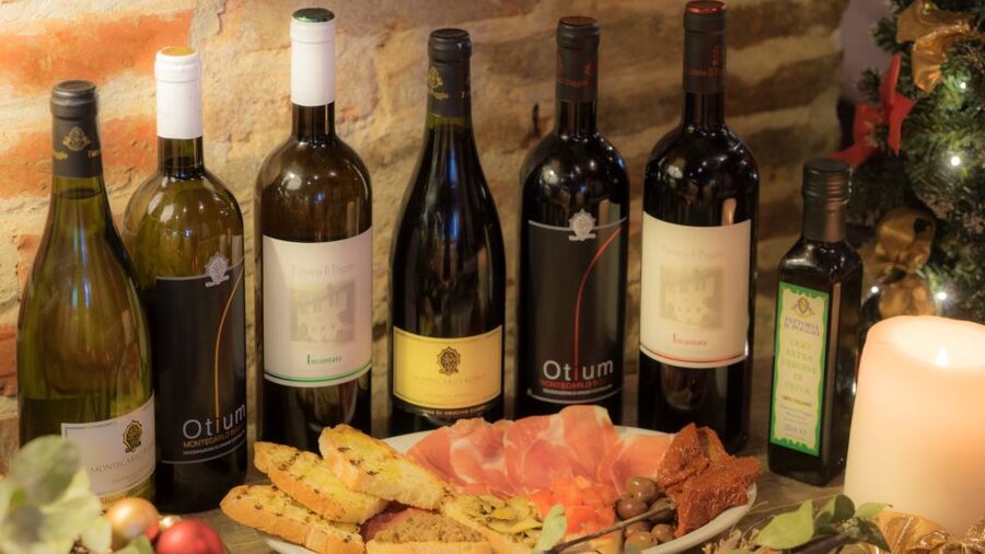 From Montecatini Terme: Wine Experience in Tuscan Farm - Key points to know before you book