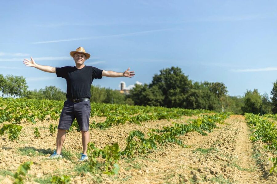 From Montecatini Terme: Wine Experience in Tuscan Farm - What the strongest praise gets right