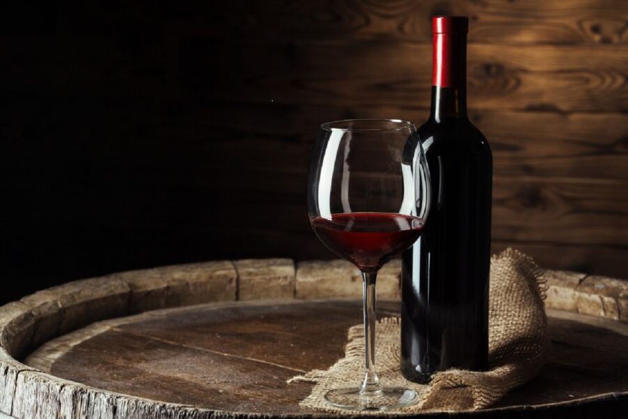 From Montecatini Terme: Wine Experience in Tuscan Farm - What could be better