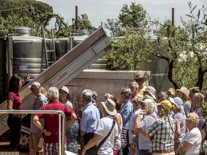 From Naples: Pompeii and Wine Tasting Tour with Lunch - Two very different sides of Vesuvius