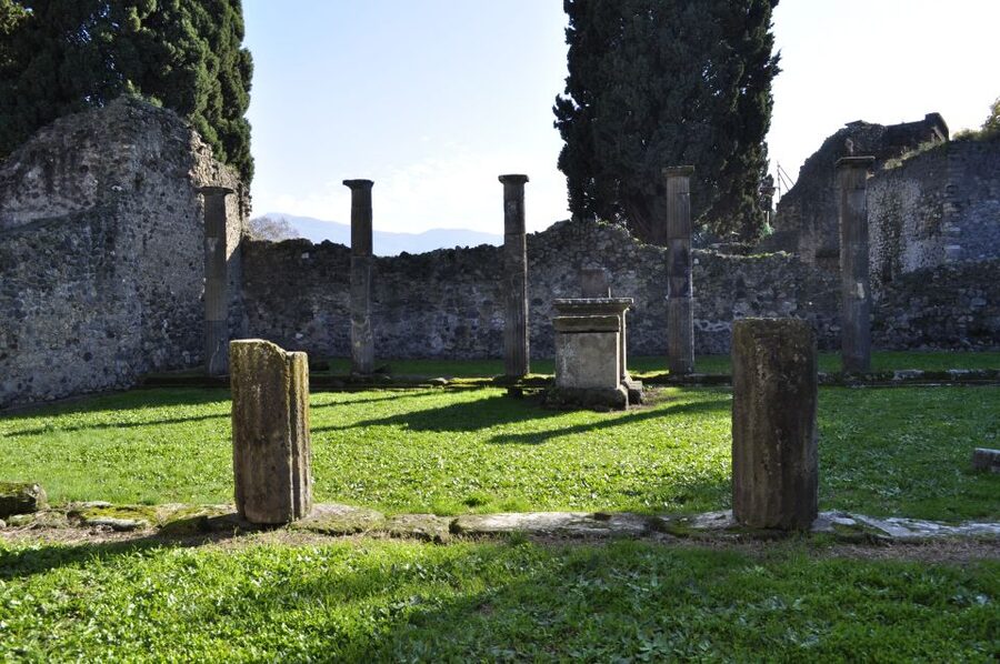 From Naples: Pompeii and Wine Tasting Tour with Lunch - From ruins to vines on Vesuvius