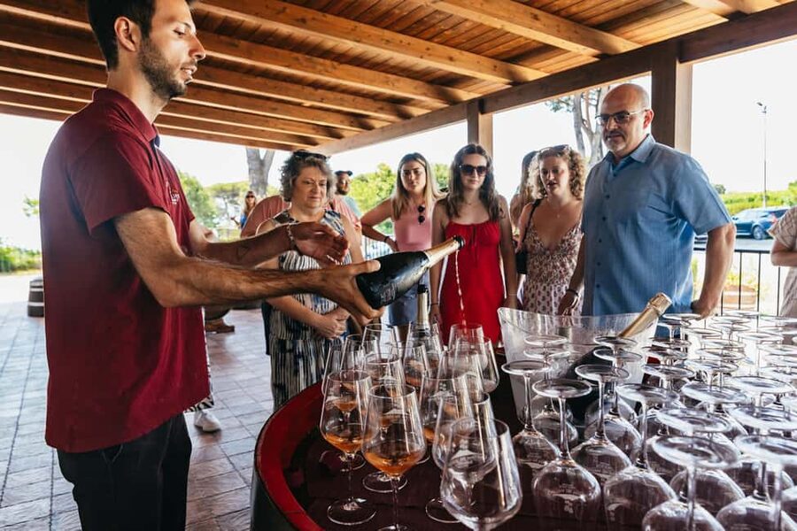 From Naples: Wine Tasting Tour on Vesuvius Slopes with Lunch - The views from Vesuvius